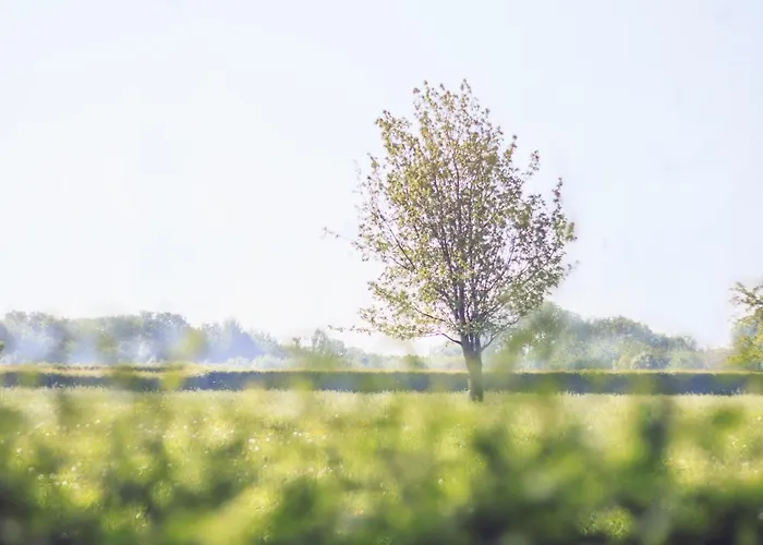 فندق مبيت وإفطار Calidier